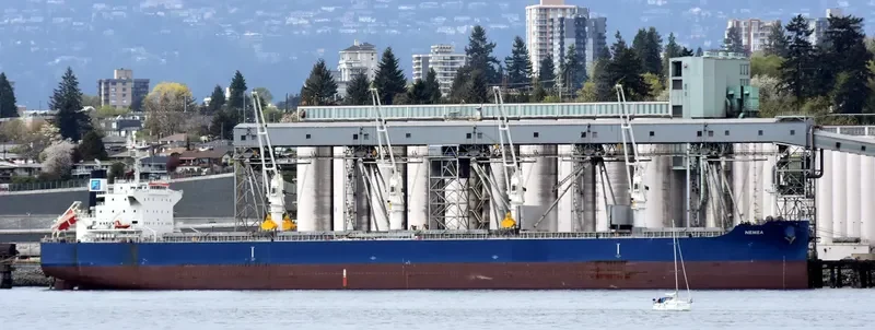 NEMEA Bulk Carrier IMO 9711286 photo 2