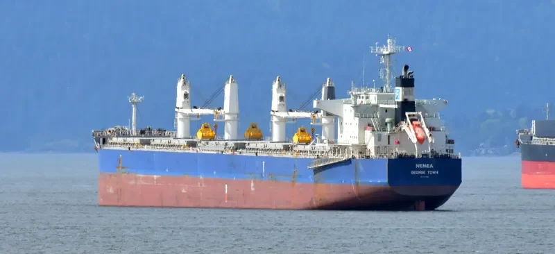 NEMEA Bulk Carrier IMO 9711286 photo 3