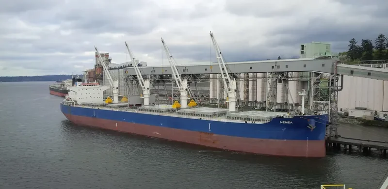 NEMEA Bulk Carrier IMO 9711286 photo 4