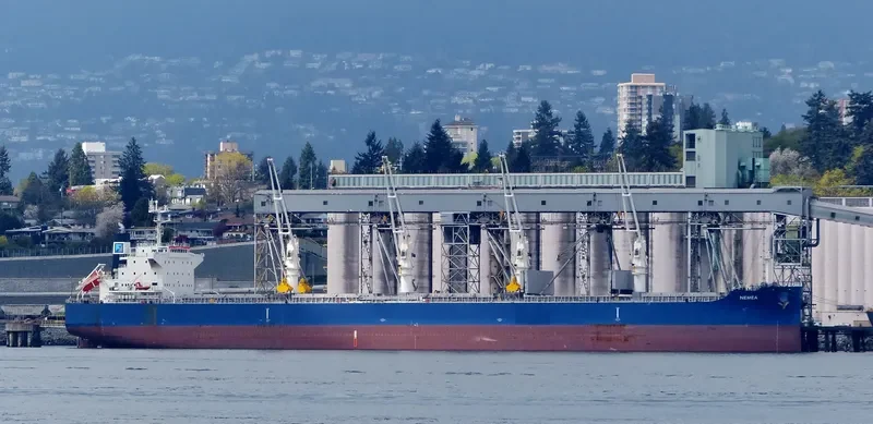 NEMEA Bulk Carrier IMO 9711286 photo 5