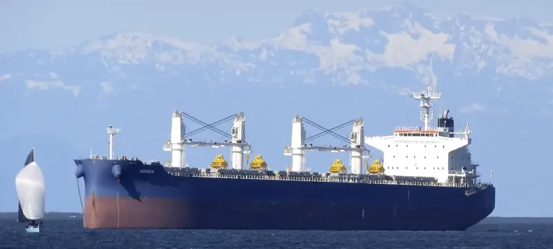 NEMEA Bulk Carrier IMO 9711286 photo 6