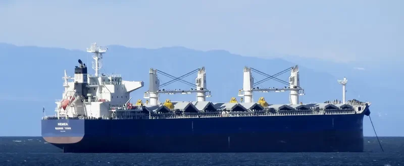 NEMEA Bulk Carrier IMO 9711286 photo 7
