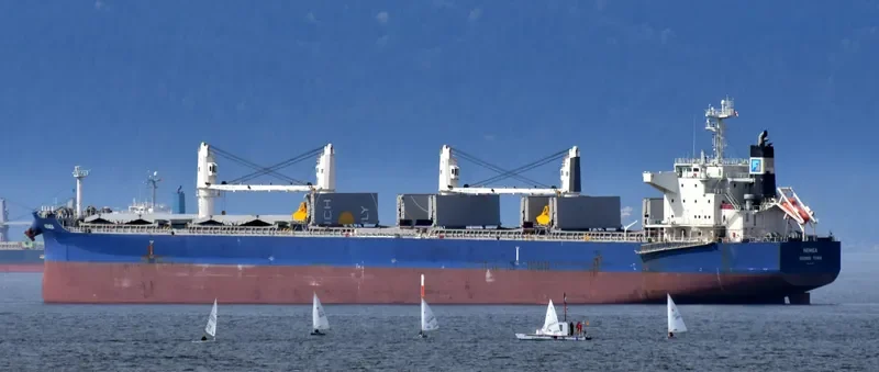 NEMEA Bulk Carrier IMO 9711286 photo 8