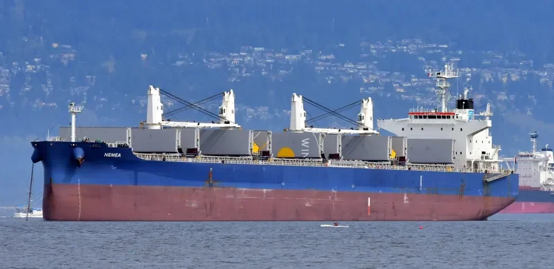 NEMEA Bulk Carrier IMO 9711286 photo 9