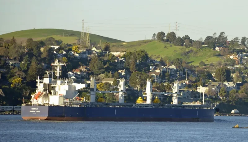 NEMEA Bulk Carrier IMO 9711286 photo 10