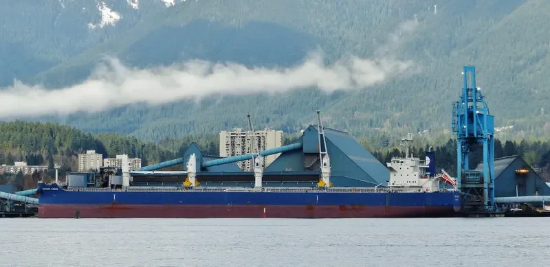 EQUINOX EAGLE Bulk Carrier IMO 9711298