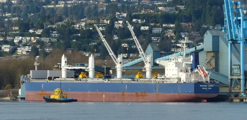 EQUINOX EAGLE Bulk Carrier IMO 9711298 photo 2