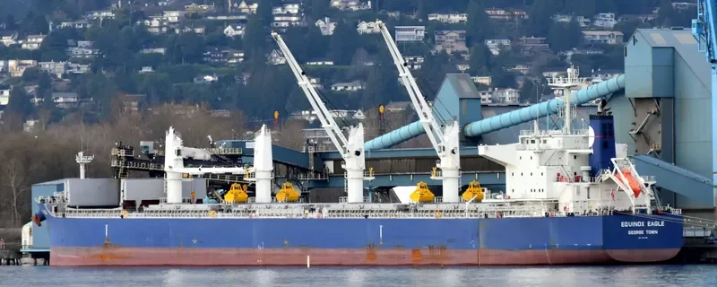 EQUINOX EAGLE Bulk Carrier IMO 9711298 photo 3