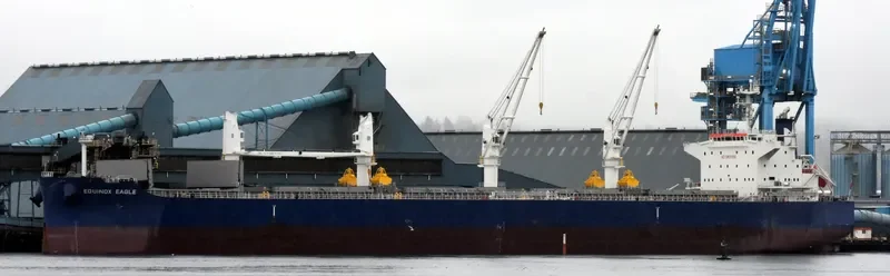 EQUINOX EAGLE Bulk Carrier IMO 9711298 photo 4