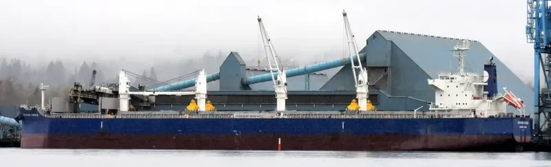 EQUINOX EAGLE Bulk Carrier IMO 9711298 photo 5