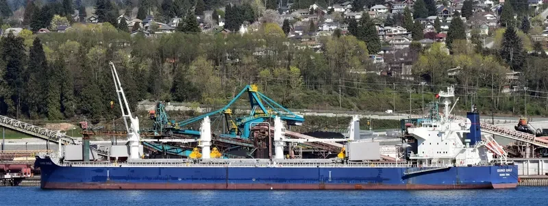 EQUINOX EAGLE Bulk Carrier IMO 9711298 photo 6