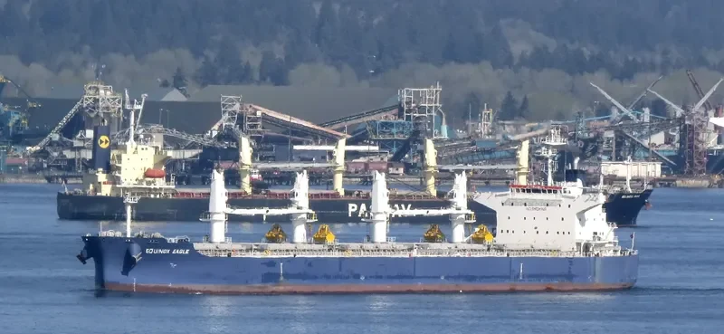 EQUINOX EAGLE Bulk Carrier IMO 9711298 photo 7