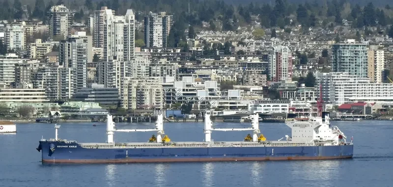 EQUINOX EAGLE Bulk Carrier IMO 9711298 photo 8