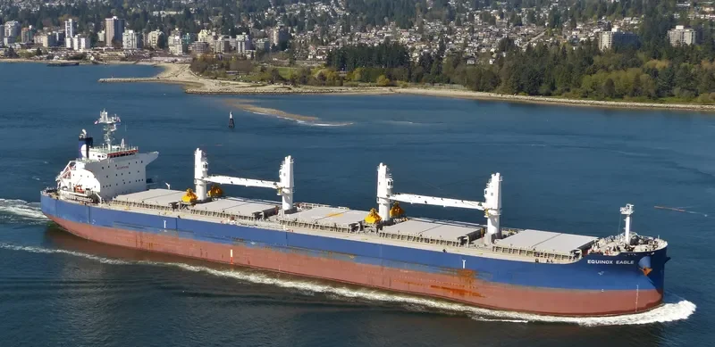 EQUINOX EAGLE Bulk Carrier IMO 9711298 photo 9