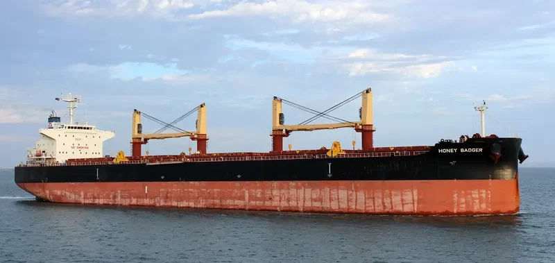 HONEY BADGER Bulk Carrier IMO 9711315