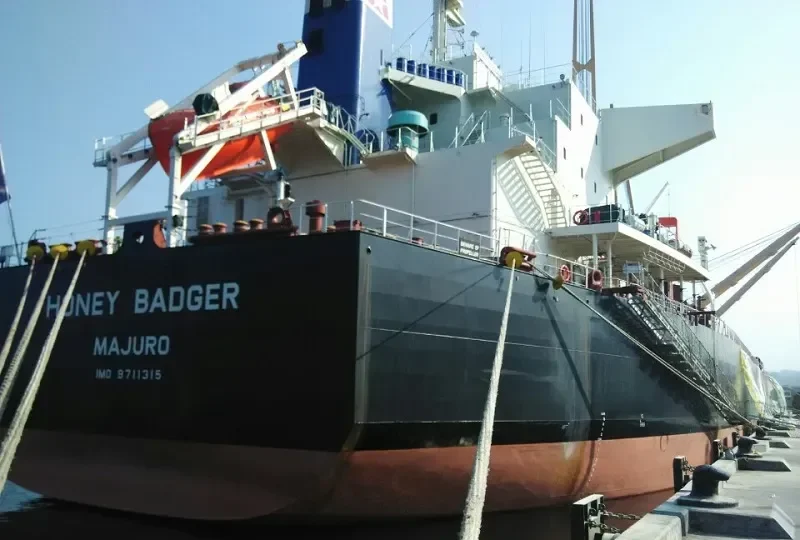 HONEY BADGER Bulk Carrier IMO 9711315 photo 2