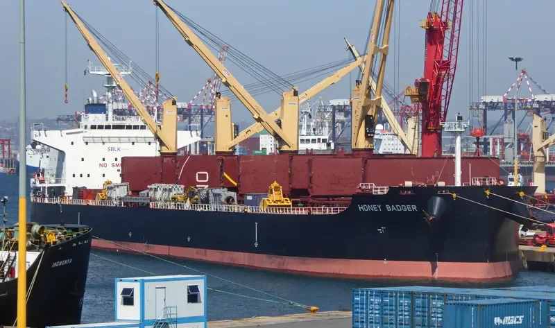 HONEY BADGER Bulk Carrier IMO 9711315 photo 3
