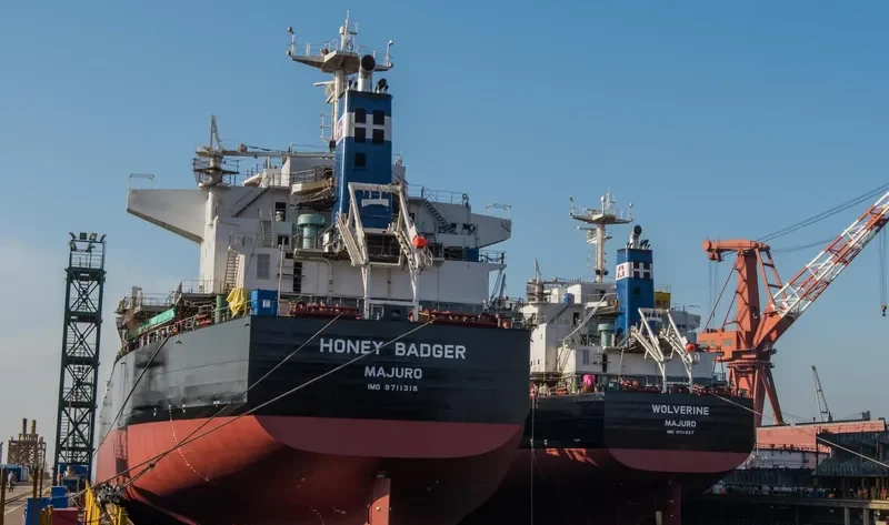 HONEY BADGER Bulk Carrier IMO 9711315 photo 4