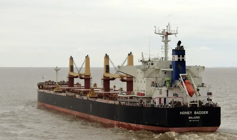 HONEY BADGER Bulk Carrier IMO 9711315 photo 5
