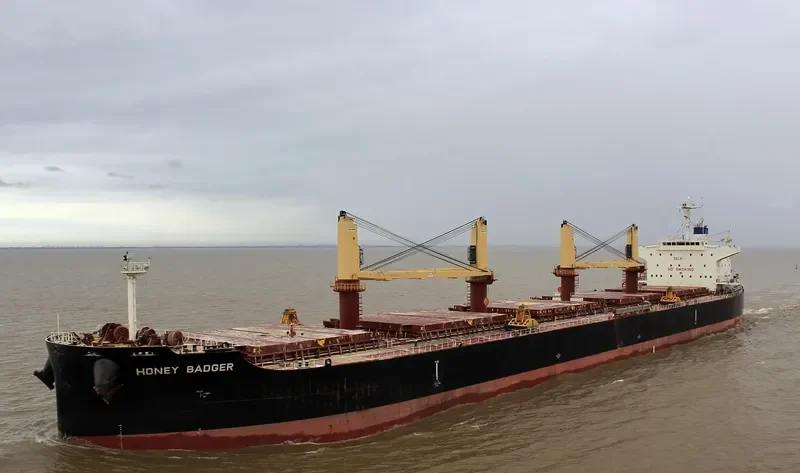 HONEY BADGER Bulk Carrier IMO 9711315 photo 6
