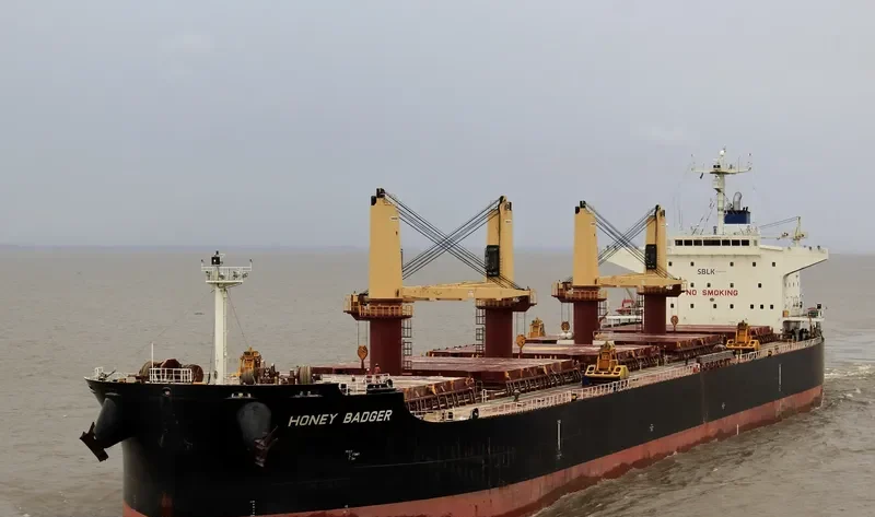 HONEY BADGER Bulk Carrier IMO 9711315 photo 7