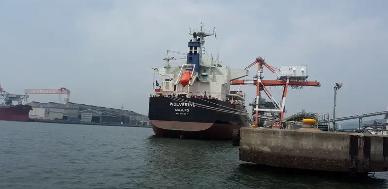 WOLVERINE Bulk Carrier IMO 9711327 photo 2