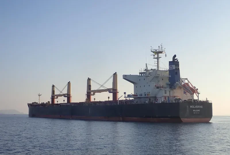 WOLVERINE Bulk Carrier IMO 9711327 photo 6