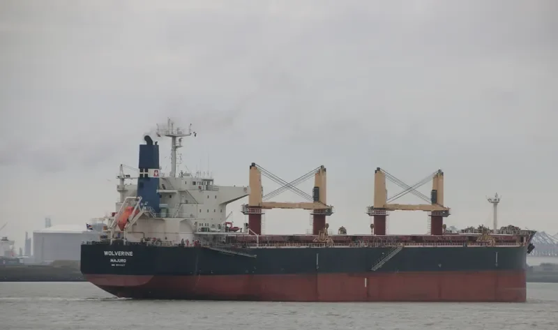 WOLVERINE Bulk Carrier IMO 9711327 photo 7