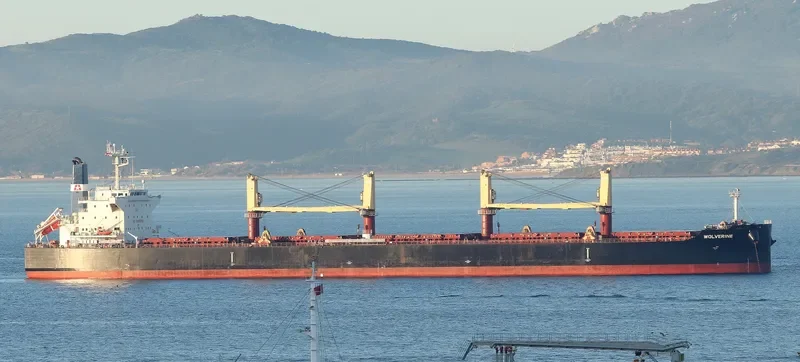 WOLVERINE Bulk Carrier IMO 9711327 photo 8