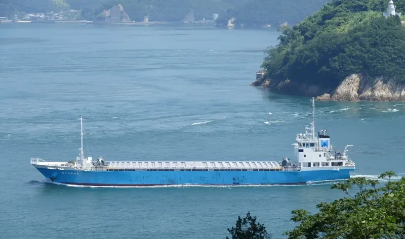 WAKA MARU NO.12 General Cargo IMO 9711353 photo 9