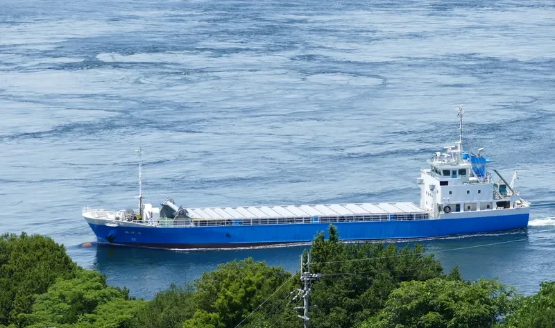 FUKUSHO MARU General Cargo IMO 9711389 photo 5
