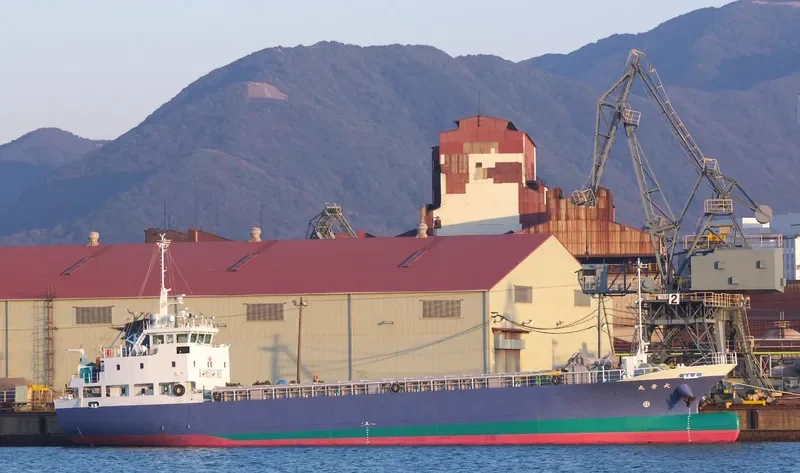 DAISHIN MARU General Cargo IMO 9711391