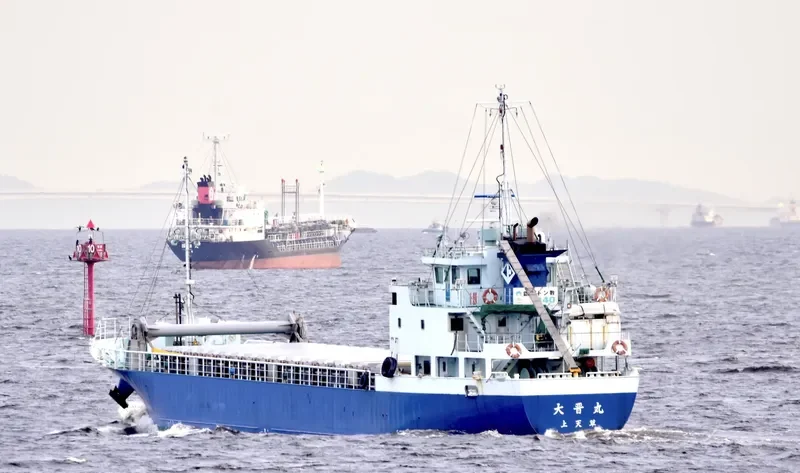 DAISHIN MARU General Cargo IMO 9711391 photo 2