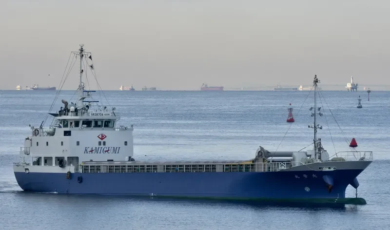 DAISHIN MARU General Cargo IMO 9711391 photo 7