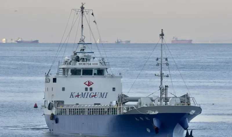 DAISHIN MARU General Cargo IMO 9711391 photo 8