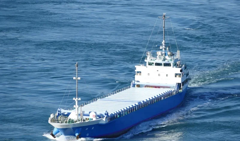 SHINSEI General Cargo IMO 9711406 photo 4