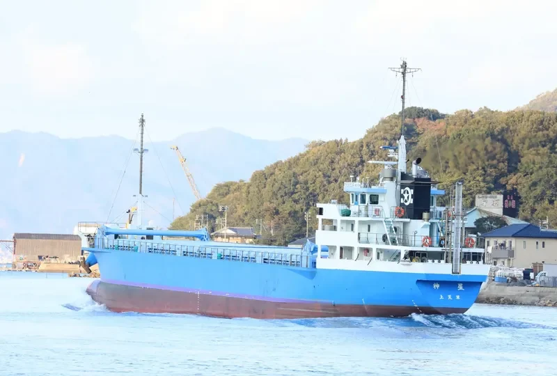 SHINSEI General Cargo IMO 9711406 photo 5