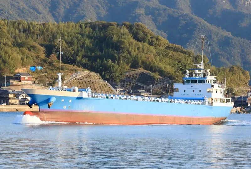 SHINSEI General Cargo IMO 9711406 photo 6
