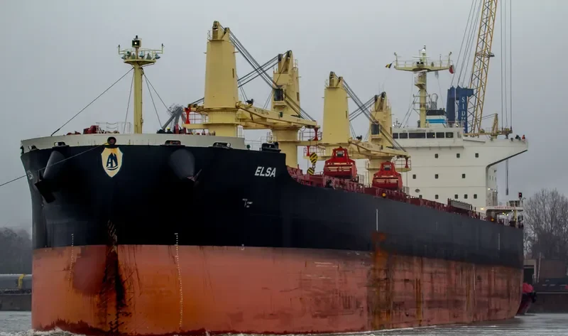 ELSA Bulk Carrier IMO 9711420 photo 2