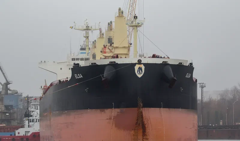 ELSA Bulk Carrier IMO 9711420 photo 3