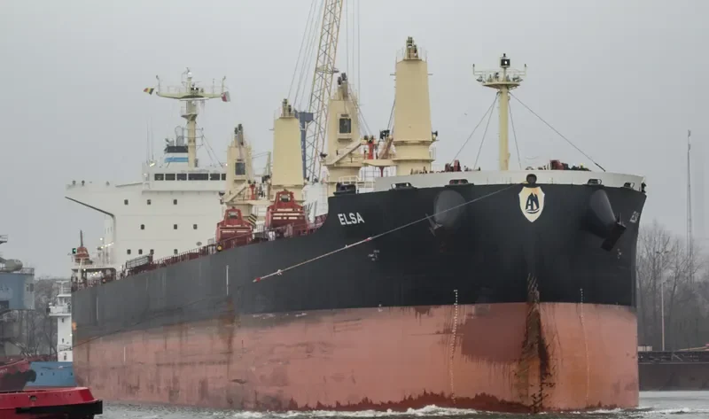 ELSA Bulk Carrier IMO 9711420 photo 4