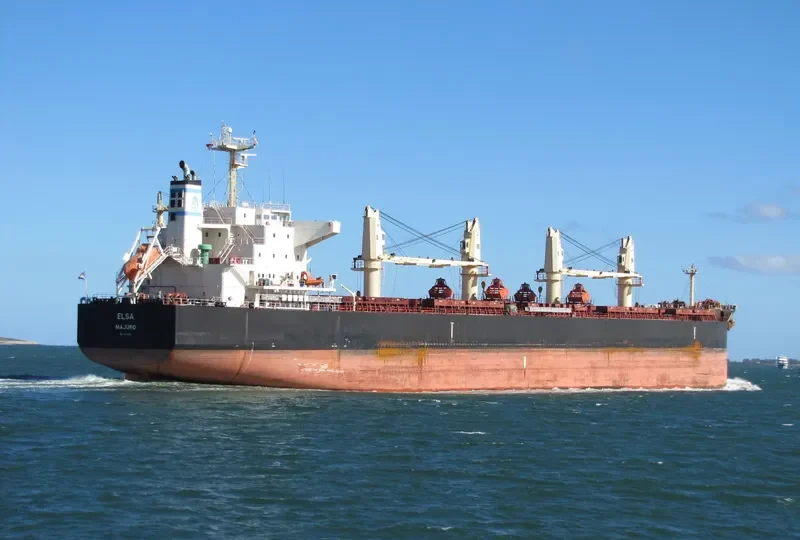ELSA Bulk Carrier IMO 9711420 photo 5