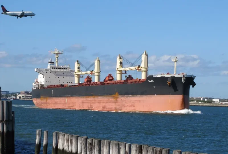 ELSA Bulk Carrier IMO 9711420 photo 6