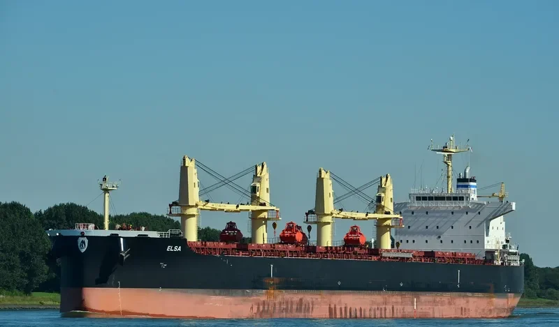 ELSA Bulk Carrier IMO 9711420 photo 8