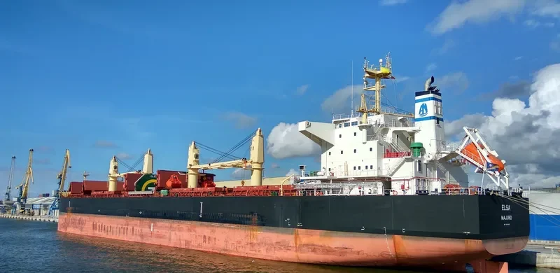 ELSA Bulk Carrier IMO 9711420 photo 9