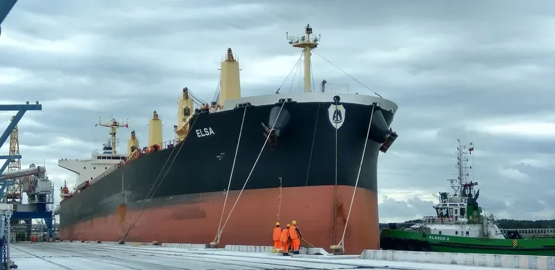 ELSA Bulk Carrier IMO 9711420 photo 10