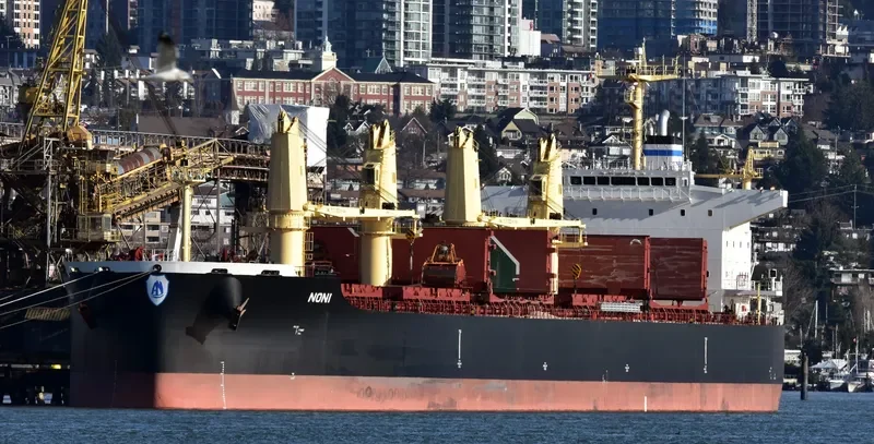 NONI Bulk Carrier IMO 9711432 photo 9