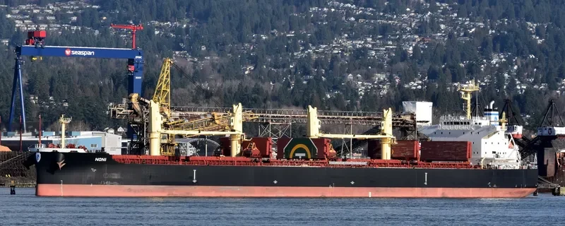 NONI Bulk Carrier IMO 9711432 photo 10