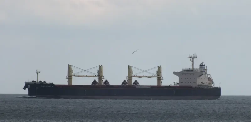 CALYPSO N Bulk Carrier IMO 9711444