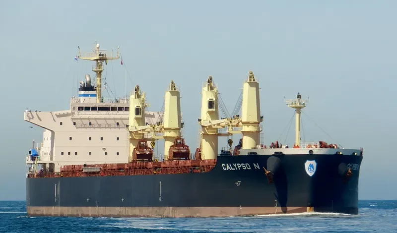 CALYPSO N Bulk Carrier IMO 9711444 photo 3